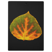 グリーンオレンジ&イエロー《植物》アスペンリーフ#1 クリップボード (裏面)