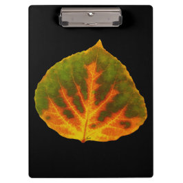 グリーンオレンジ&イエロー《植物》アスペンリーフ#1 クリップボード