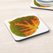 グリーンオレンジ&イエロー《植物》アスペンリーフ#1 コースター (左側)