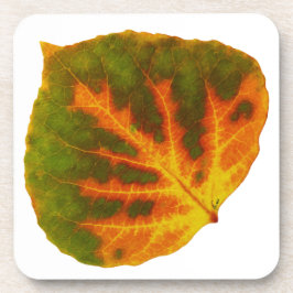 グリーンオレンジ&イエロー《植物》アスペンリーフ#1 コースター