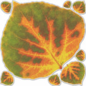 グリーンオレンジ&イエロー《植物》アスペンリーフ#1 シール (正面)