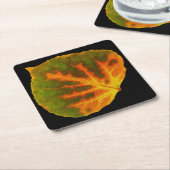 グリーンオレンジ&イエロー《植物》アスペンリーフ#1 スクエアペーパーコースター (アングル)