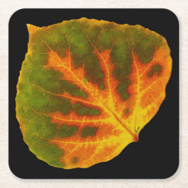 グリーンオレンジ&イエロー《植物》アスペンリーフ#1 スクエアペーパーコースター