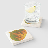 グリーンオレンジ&イエロー《植物》アスペンリーフ#1 ストーンコースター (横)