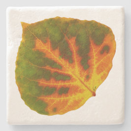 グリーンオレンジ&イエロー《植物》アスペンリーフ#1 ストーンコースター