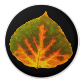 グリーンオレンジ&イエロー《植物》アスペンリーフ#1 セラミックノブ