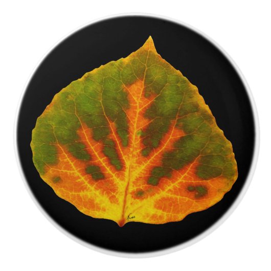 グリーンオレンジ&イエロー《植物》アスペンリーフ#1 セラミックノブ (正面)