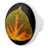 グリーンオレンジ&イエロー《植物》アスペンリーフ#1 セラミックノブ (右)