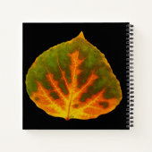 グリーンオレンジ&イエロー《植物》アスペンリーフ#1 ノートブック (裏面)