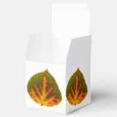 グリーンオレンジ&イエロー《植物》アスペンリーフ#1 フェイバーボックス (オープン)