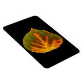 グリーンオレンジ&イエロー《植物》アスペンリーフ#1 マグネット (右側)