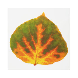 グリーンオレンジ&イエロー《植物》アスペンリーフ#1 メタルプリント
