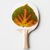グリーンオレンジ&イエロー《植物》アスペンリーフ#1 卓球ラケット (裏面)