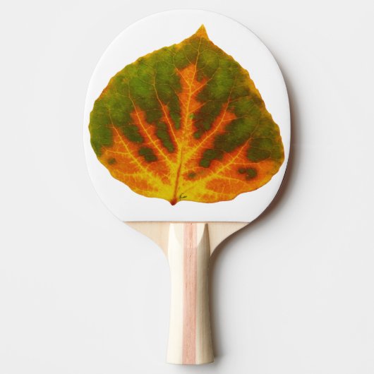 グリーンオレンジ&イエロー《植物》アスペンリーフ#1 卓球ラケット (正面)