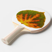 グリーンオレンジ&イエロー《植物》アスペンリーフ#1 卓球ラケット (正面アングル)