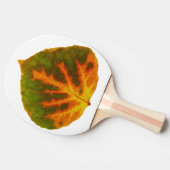 グリーンオレンジ&イエロー《植物》アスペンリーフ#1 卓球ラケット (横)