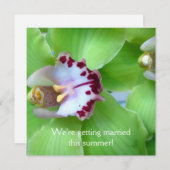 グリーンオーキッドの招待状 招待状 (正面/裏面)