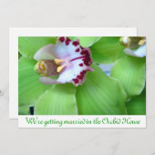 グリーンオーキッドの招待状 招待状 (正面/裏面)