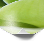 グリーンオーキッド フォトプリント            (角)