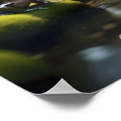 グリーンカエルの森の生活 ポスター (角)