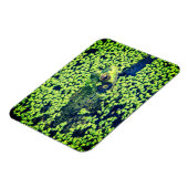 グリーンカエル両生類の池ライフ マグネット (左側)