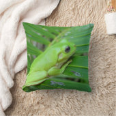 グリーンカエル クッション (ブランケット)