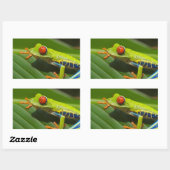 グリーンカエル 長方形シール (シート)