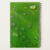 グリーンカスタムプランナー2023 プランナー手帳 (裏面)