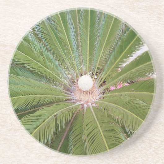 グリーンカッコいいパーム コースター (正面)