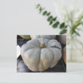 グリーンカボチャ ポストカード (スタンド正面)