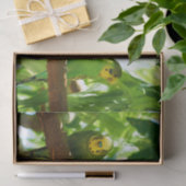 グリーンカラフルブディーズオンザツリーブランチ 薄葉紙 (ギフト)