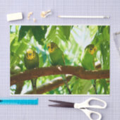 グリーンカラフルブディーズオンザツリーブランチ 薄葉紙 (クラフト)