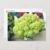 グリーンカリフラワー ポストカード (正面/裏面)