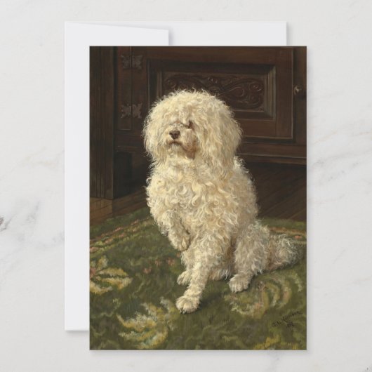 グリーンカーペットにプードル | ジョージ・L・ハリソン (正面)