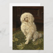 グリーンカーペットにプードル | ジョージ・L・ハリソン (正面/裏面)