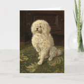 グリーンカーペットにプードル | ジョージ・L・ハリソン カード (正面)