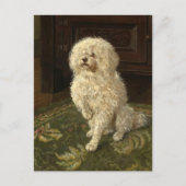 グリーンカーペットにプードル | ジョージ・L・ハリソン ポストカード (正面)