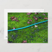 グリーンガーデンスネークホース ポストカード (正面/裏面)