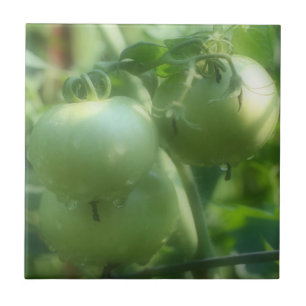 グリーンガーデントマトオンつる植物自然 タイル