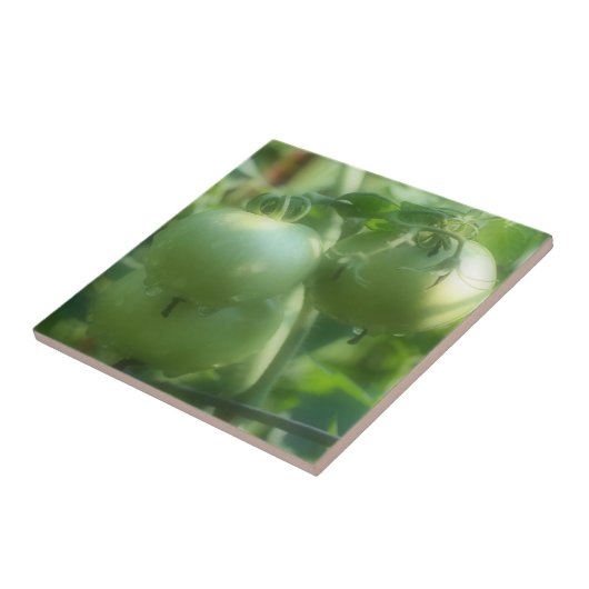 グリーンガーデントマトオンつる植物自然 タイル (側面)