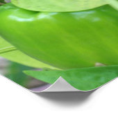 グリーンガーデンペッパーズオンザつる植物 ポスター (角)