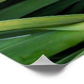 グリーンガーリック ポスター (角)