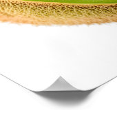 グリーンキウイフルーツ ポスター (角)