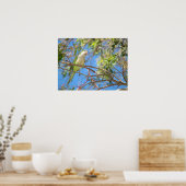 グリーンクエーカーのペロットポスター ポスター (キッチン)