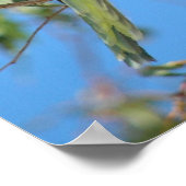 グリーンクエーカーのペロットポスター ポスター (角)