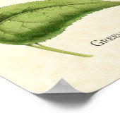 グリーンクラウンドブリリアントハミングバードアートプリント ポスター (角)