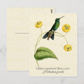グリーンクラウンドブリリアントハミングバードヴィンテージアート ポストカード (正面/裏面)