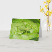 グリーンクリケットカモフラージグリーティングカード カード (黄色い花)