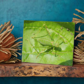 グリーンクリケットカモフラージプラーク フォトプラーク (側面)