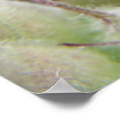 グリーンクリケットon a Leafプリント ポスター (角)